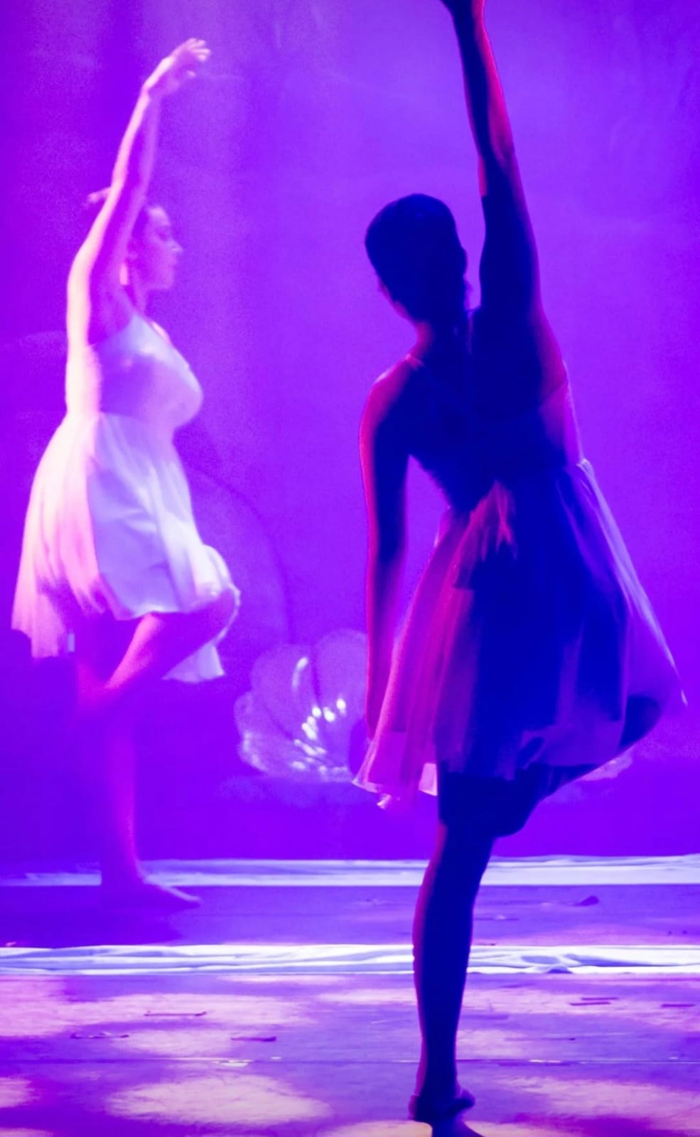 WhatsApp Image 2024-07-31 at 00.44.39 (2).jpeg